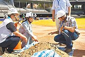純蓋露天棒球場　專家建議：參考桃園造價
