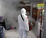 台南登革熱＋62　東區也突破400例