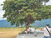 南橫路斷　六龜旅宿慘現退房潮