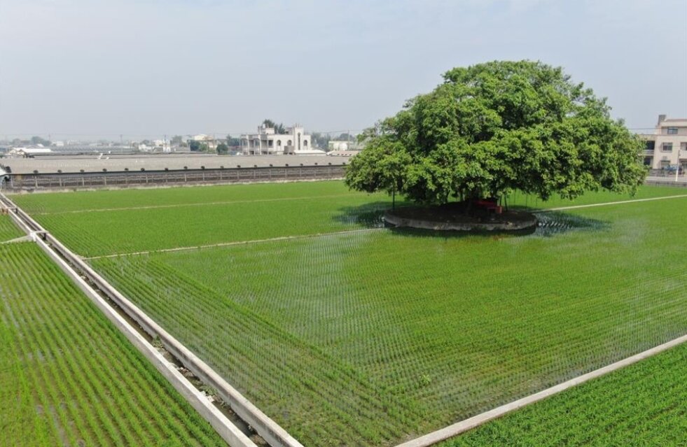 ▼彰化標售重劃區抵費農地。(示意圖/彰化縣政府提供)