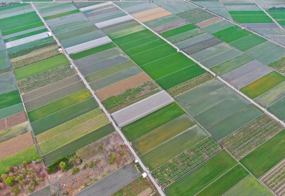 ▼位於埔鹽坪5.34坪的農地,底價5萬元最低。(示意圖/彰化縣政府提供)