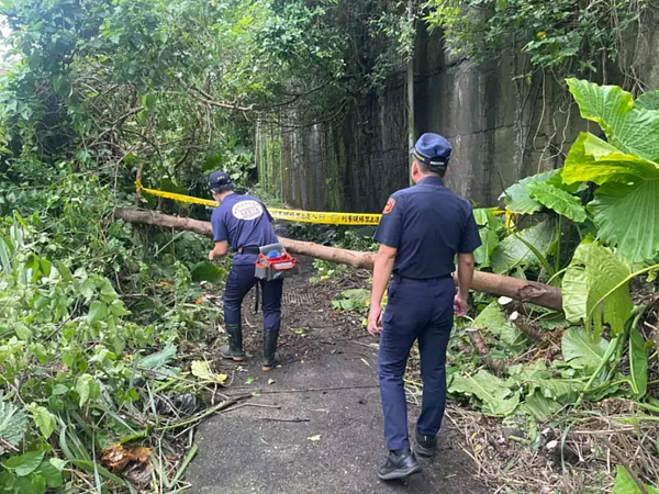 瑞芳逢甲路台電土地草叢驚見白骨,為2個月前失蹤七旬翁。記者游明煌/翻攝