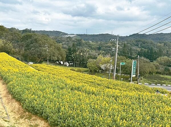 桃園市休閒農業區成長迅速,但休區內部分農場發現違規多年未改善,審計處質疑市府輔導成效不足。本報資料照片