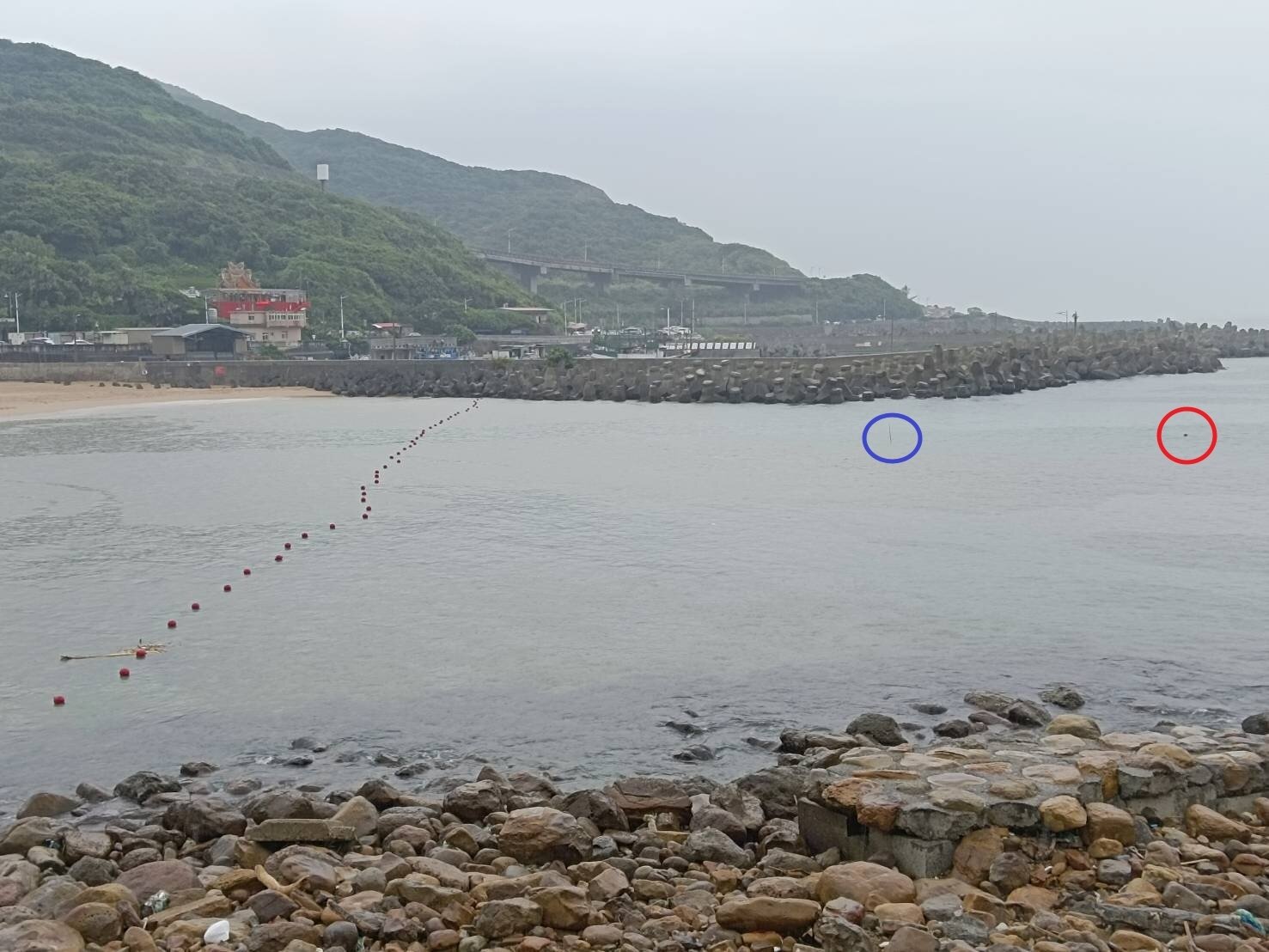 基隆市長謝國樑今到大武崙沙灘了解安全維護作業,浮球串起的警戒線已從攔沙壩(藍圈處)往內移,救生艇則從海上浮球(紅圈處)處,內移到藍圈處待命。記者邱瑞杰/攝影