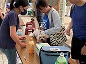 萬祥里公費狂犬病預防注射活動