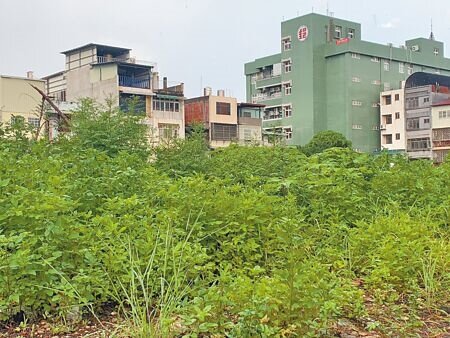 南投縣政府通過《南投縣指定清除地區汙染環境行為法》草案,未來草長超過50公分未修剪影響環境清潔者將開罰最重6000元。(曾雪蒨攝)