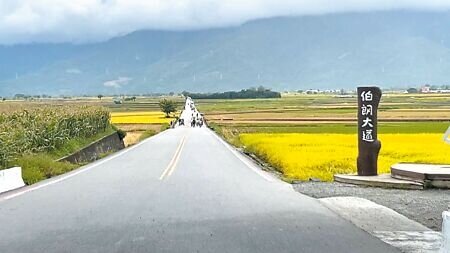 台糖擬出租台東縣池上鄉土地設置4公頃光電園區案,在地居民憂心水源、池上好米受影響,群起抗議,至今仍未動工。(蕭嘉蕙攝)