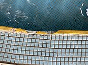 中市公立泳池老舊　爭經費改善