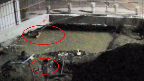 高雄市苓雅區一處建案工地今晚發生挖破管線滲水問題，居民拍下工人摸黑找肇因的畫面，擔憂施工未依規定會造成居住安危。圖／讀者提供
