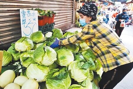 
受日前杜蘇芮颱風豪雨影響，農損產區蔬菜仍在復耕階段，現在蘇拉颱風又來襲，菜價飆高，品質佳的高麗菜甚至出現1公斤115元的高價。（本報資料照片）
