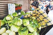 豪雨＋颱風　菜價每公斤飆破50元