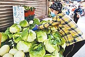 豪雨＋颱風　菜價每公斤飆破50元