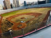 舖草皮下包廠商不忍了　曝12億新竹棒球場排水這樣做