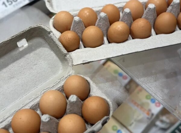 雞蛋開放大量進口，價差由政府吸收，雖短暫舒緩蛋荒，價格也下降，蛋進口雞蛋市場反應兩極。業界普遍認為，第一批進來的澳洲蛋，以及之前的日本蛋品質最好，後來再進的，問題比較多，不太好賣。圖為進口蛋。本報資料照片
