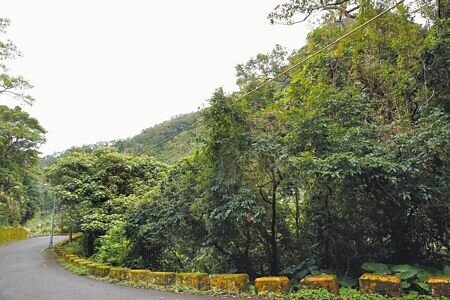 財政部國產署修正《國有非公用不動產交換辦法》,未來抵稅不動產如超過1650平方公尺,符合容易活化利用者,將可交換。圖為台北市內湖的國有抵稅地。(本報資料照片)