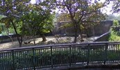 壽山動物園領先全台　納入Google Maps