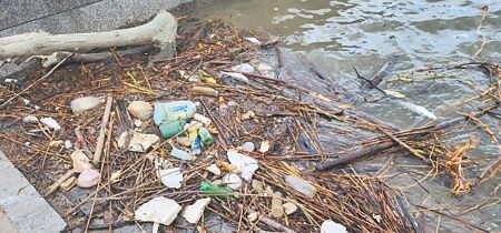 
新北市淡水河畔忠孝碼頭一帶近日出現大量垃圾及死魚，民眾憂心水質是否出狀況。（黃敬文攝）
