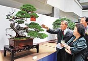 設盆栽經濟示範區　陳菊：精緻農業有前途