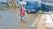 彰化塭仔漁港大積水　河豚四處游