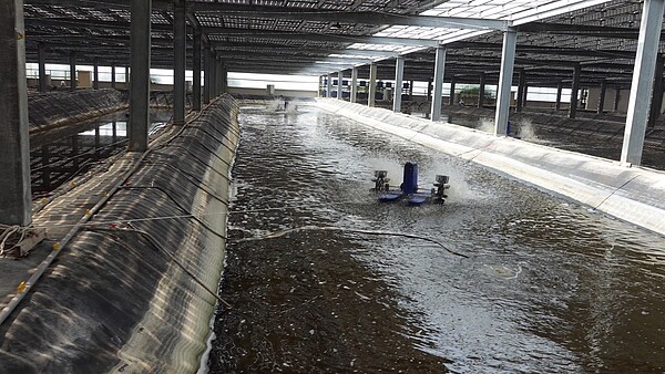 台南市政府全面清查漁電共生場。圖/台南市農業局提供