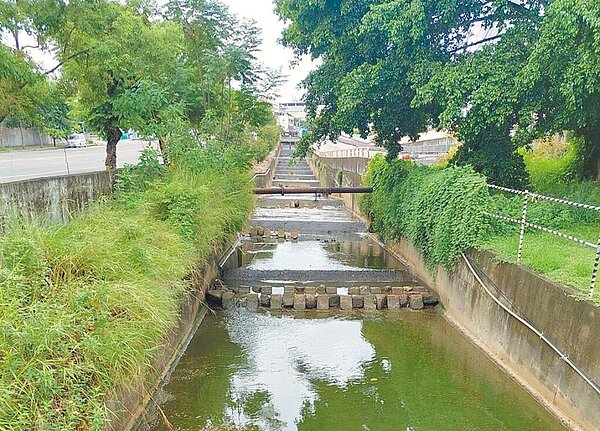 南投縣環保局接獲南崗大排驚傳有人趁颱風夜排廢水,4日派員了解。(南投縣政府提供/曾雪蒨南投傳真)