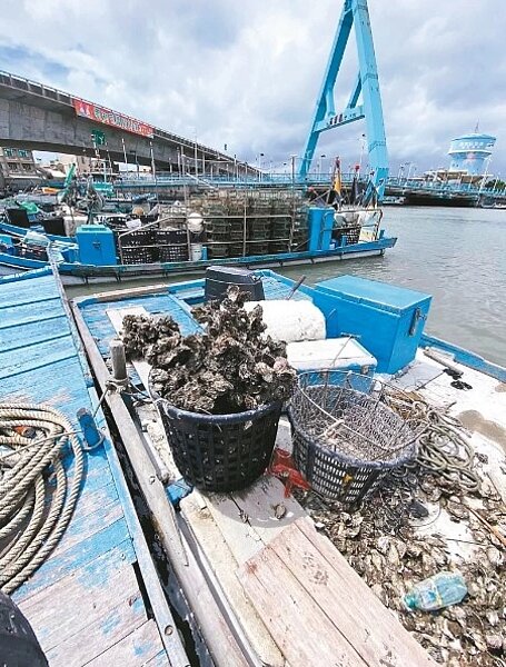 嘉義縣布袋鎮蚵農搶收牡蠣，還未請機具吊上岸就遇到海上颱風警報，船上200台斤牡蠣開口死掉。圖／嘉縣布袋鎮岑海里長翁億頴提供
