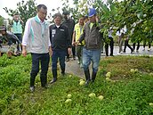 26萬戶曾停電　台東農損6億