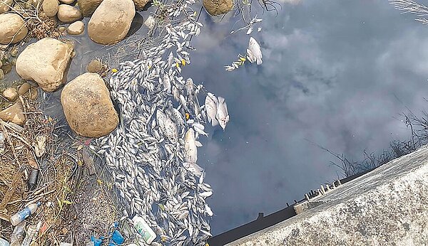 新竹縣湖口鄉德盛溪4日被潤泰楊梅廠廢液汙染，大量魚群死亡，5日溪水從藍變黑，整條溪10幾公里都在發臭。（湖口鄉公所提供／羅浚濱新竹傳真）