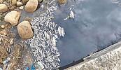 德盛溪汙染　潤泰全球遭3度告發