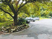 民代爭取　坪林遊覽車停車場　明年落成