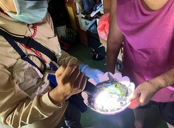 台南市登革熱防治中心提醒,近期時有強降雨發生,雨後應盡快落實孳生源巡查,將積水徹底清除或投藥處理。圖/登防中心提供