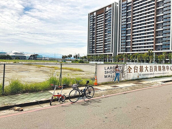 有民眾在台中高鐵站區發現石虎陳屍路邊。（林姓民眾提供／馮惠宜台中傳真）