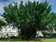 苗栗縣第二處住宅用地到位　縣都委會要求蓋屋留老樹