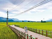 觀光工廠發展光電？　池上鄉親反彈