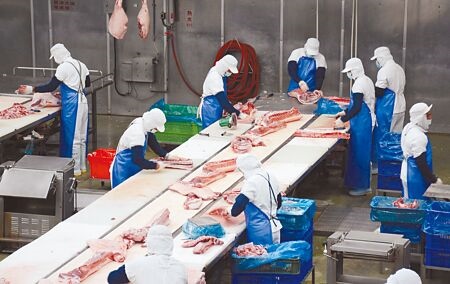
經過菲國進口商來台訪廠，經過2個月磋商，台灣迎來口蹄疫後首批生鮮豬肉外銷菲律賓。（林和生攝）
