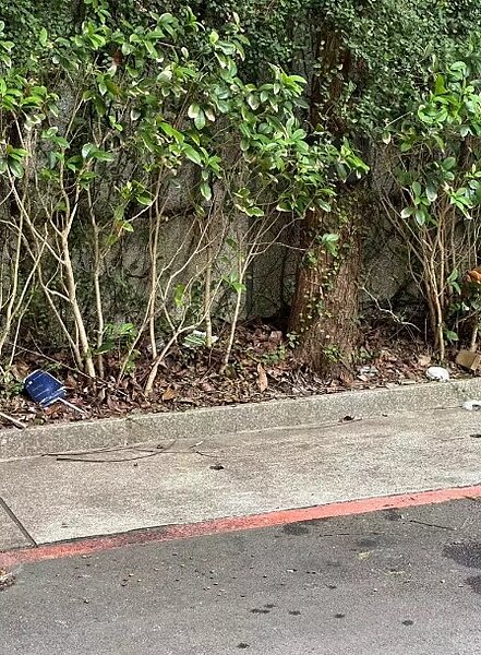 台電變電所外圍花圃都是垃圾,長期不清裡,都是民眾自發性清理,議員不滿表示,變電所在市區總是鄰避設施大家避之唯恐不及,台電不敦親睦鄰還以老大自居。圖/耿葳辦公室提供