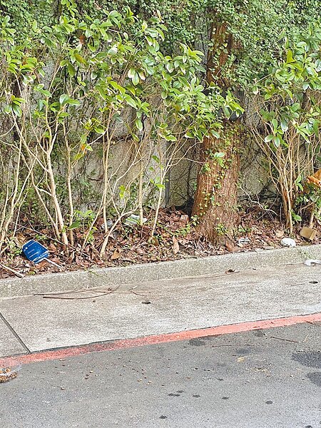 台北市大安區基隆路3段台電變電所旁的綠帶,常被民眾丟棄垃圾。環保局已於7日寄出環境限期改善通知單,命台電接到通知7日內改善。(台北市議員耿葳提供/劉彥宜台北傳真)