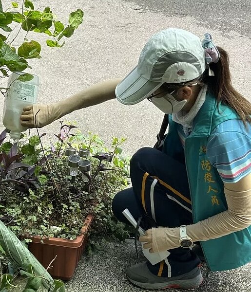 台中市衛生局說明,市府團隊及區公所防疫人員執行登革熱病媒蚊孳生源清除工作。圖/衛生局提供