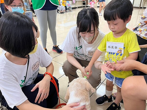 在動輔師的引導下，小朋友慢慢和治療犬互動。〈社會局提供〉