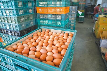 
營養師呼籲民眾若要避免病從口入，建議採購洗選蛋，充分加熱再食用。圖為蛋行剛進幾大箱新鮮的雞蛋。（季志翔攝）
