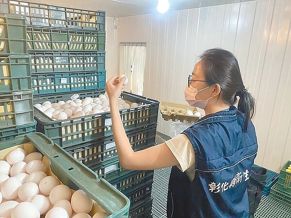 彰化縣衛生局啟動專案進口雞蛋冷鏈倉儲查核,18日派員前往畜產會租賃的冷藏倉庫稽查,確認待銷毀雞蛋8208箱已集中放置,圖為衛生局人員稽查情形。(彰化縣衛生局提供)