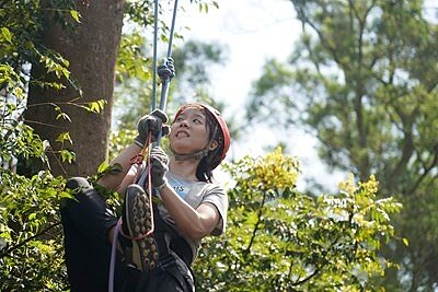 攀樹體驗課程。圖/台中市觀旅局提供