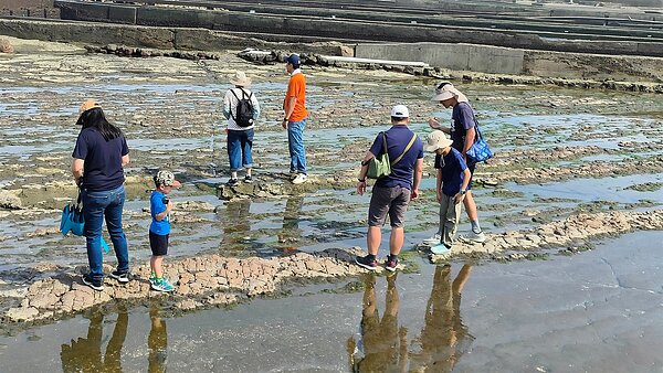 民眾探索馬崗潮間帶生態。圖/馬崗漁港