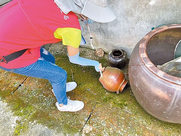 南投縣衛生局提醒,若家中盆栽、容器因積水造成病媒蚊孳生,依法可處6萬元以上、30萬元以下罰鍰。(南投縣衛生局提供/楊靜茹南投傳真)