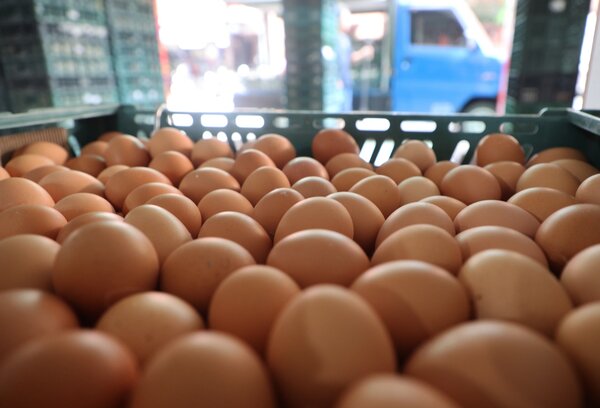 進口蛋爭議延燒，畜產會遭北市府要求提供蛋品流向，卻稱基於維護往來廠商權益無法提供相關資料。示意圖／聯合報系資料照 