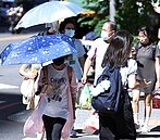 中秋賞「這裡」有機會　彭啟明：沒有颱風影響台灣