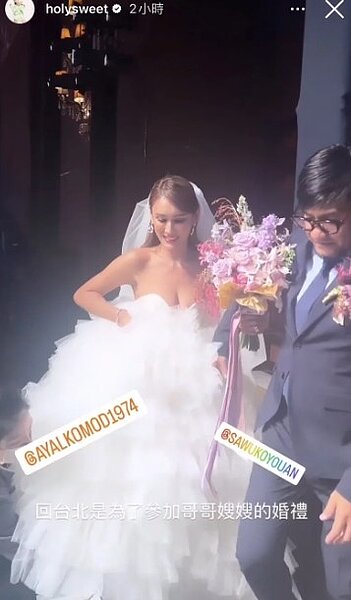 張震嶽補辦婚禮。圖／摘自IG
