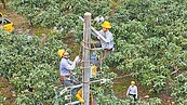 前8月停電645件　台電砸30億升級