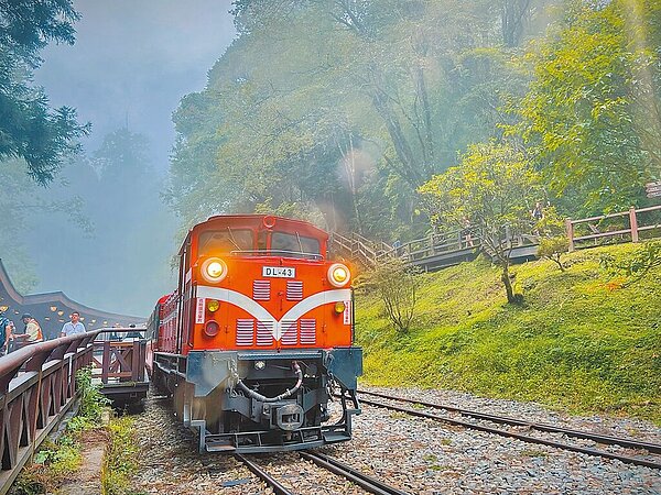 阿里山國家風景區管理處正式推出「阿里山郵輪式巴士」,去程終點站就是知名的阿里山國家森林遊樂區。(阿里山管理處提供/呂妍庭嘉義傳真)