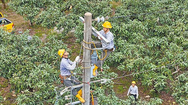 台電鳳山區處今年特別針對位處偏僻位置的桃源區進行穩定供電改善。圖為台電同仁登10.5米高電桿更換開關等設備。（台電提供／柯宗緯高雄傳真）